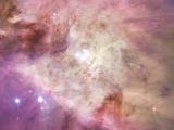 Die größten Sterne im Orionnebel