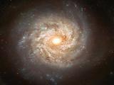 Galaxie NGC 3982