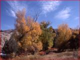 Herbstliche Farben am Gardner River